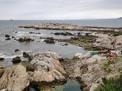 -养马岛旅游度假区