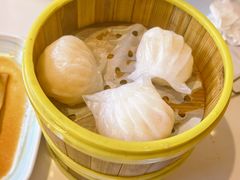 -东方早茶 海鲜•青岛菜(国信体育中心店)