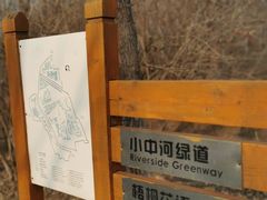 -东郊湿地公园