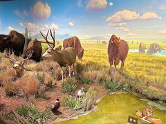 -陕西自然博物馆