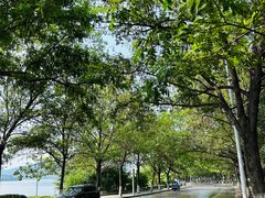 -云龙湖旅游景区