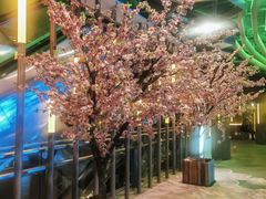 -老虎滩大连海鲜烧烤(水游城店)