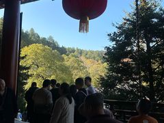 -庐山风景名胜区-东林大佛