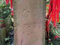 -峨眉山报国寺