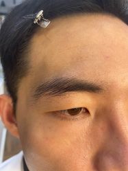 -眉毛攻略·专业修眉染眉野生眉