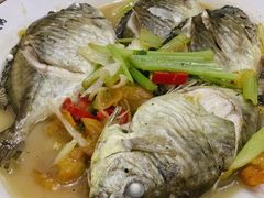 芹椒煮时鱼-长平老姿娘夜粥(平东一街店)