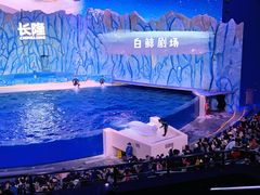 -珠海长隆海洋王国