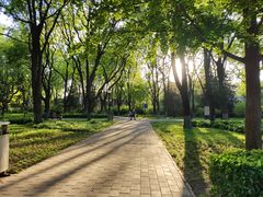 -玲珑塔公园