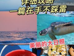 -日照海滨国家森林公园