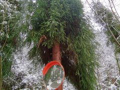 -太阳湾风景区
