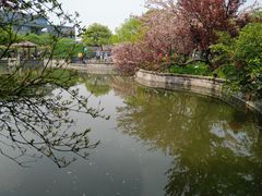 -嘉定紫藤园