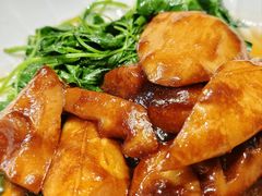 -紫阳富豪大酒店(惠南店)