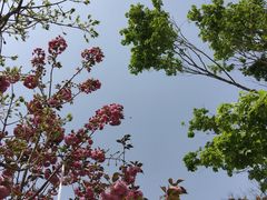 -中央统战部旧址