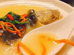 东坡河鱼-肆月河豚·新淮扬(金融街店)