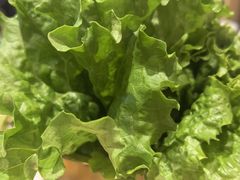 -炉队长·齐齐哈尔家庭烤肉(马家堡店)