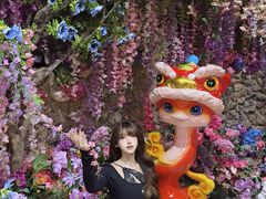 -正佳雨林生态植物园
