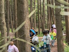 -宾果蒙特梭利托育儿童之家幼儿园(爱琴海店)