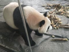 -泉州海丝野生动物世界