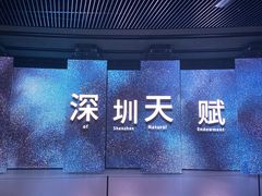 -深圳市当代艺术与城市规划馆