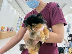 -美联众合动物医院·24h京西诊疗中心