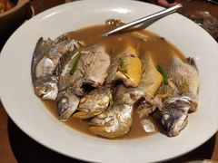 家烧胶东杂鱼-KŌNG胶东小馆·酒馆(华熙店)