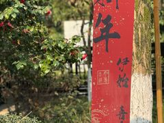 -望江楼公园