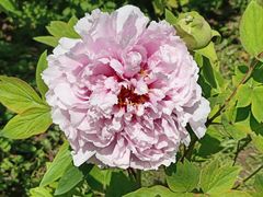 -狼山风景名胜区