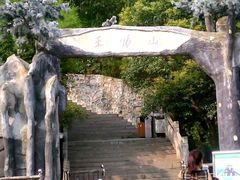 -王顺山国家森林公园