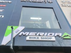 -道路口单车爱瓦士dahon大行