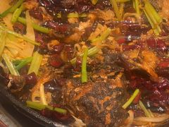 -老板恋上鱼(恒隆广场店)