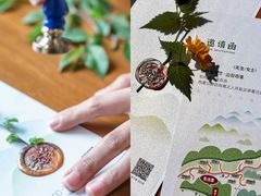-秦岭风景区