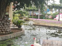 -三亚亚龙湾天域度假酒店