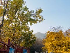 -天津盘山风景名胜区