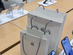 -Apple 零售店(Canton Road)