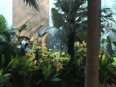 -上海虹桥西郊假日酒店