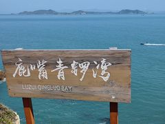 -杨梅坑