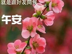 -中建幸福空间