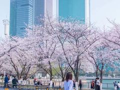 -西北湖绿化广场