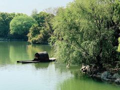 -无锡蠡湖国家湿地公园-蠡园