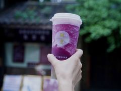 -树夏(锦里店)