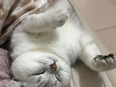 -荔康动物医院(康王北路店)