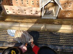 -三圣花乡旅游区