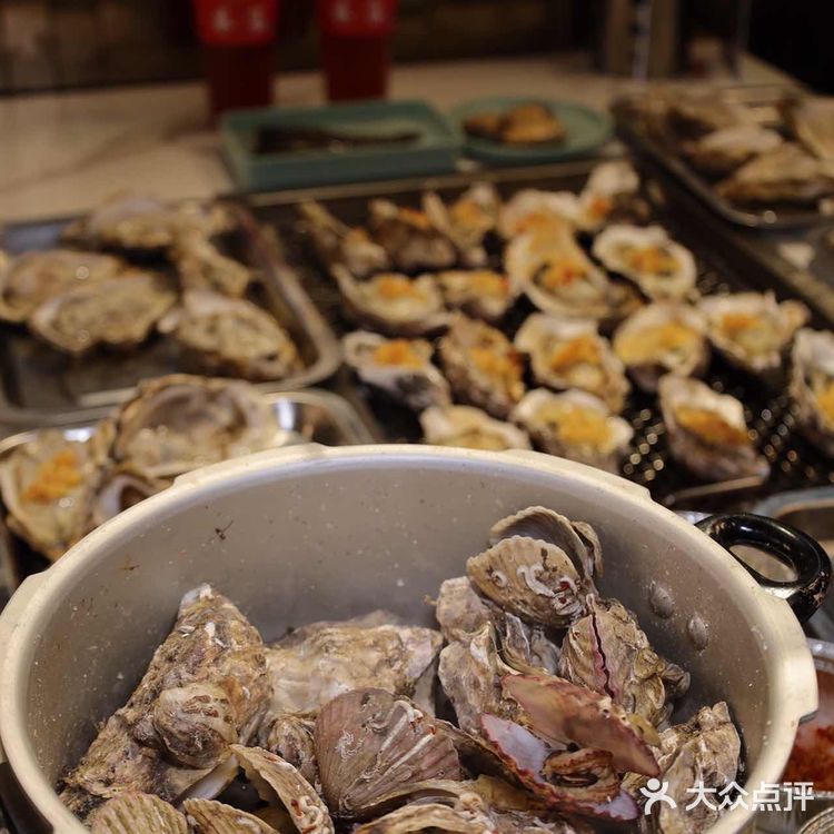 朋友带我体验人均不到100+不限量畅吃的生蚝自助‼️