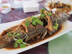 -明月食府(二区干二路店)