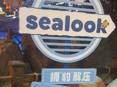 -海合安青岛极地海洋公园