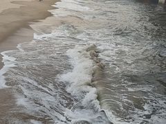 -演武大桥观景平台