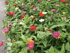 -长春公园(普阳街道)