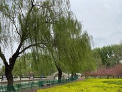 -达活泉公园
