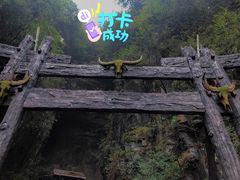-苗人谷