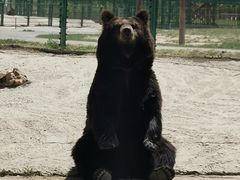 -鄂尔多斯野生动物园